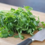 Kitchen Hack – How To Preserve Cilantro For a Longer Time