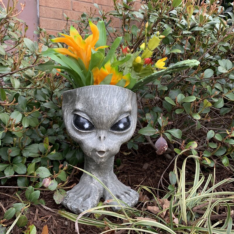 alien-planters